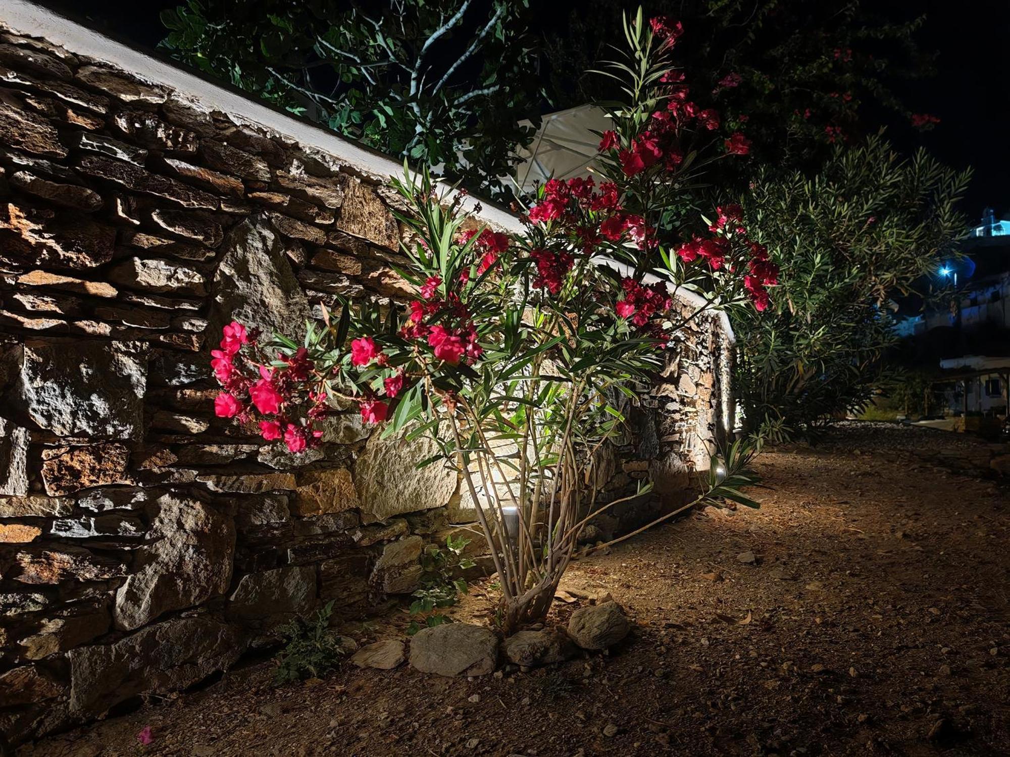 Diana'S Luxury Suites Kíthnos Exterior foto
